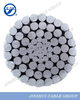 overhead bare AAAC conductors