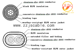 Concentric AL Conductor